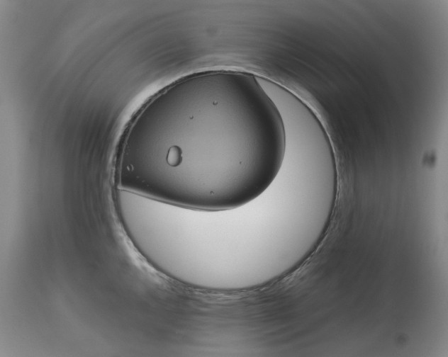 X0000113241144200909241540