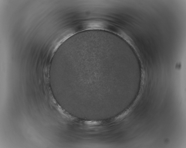 X0000113241145200909241540