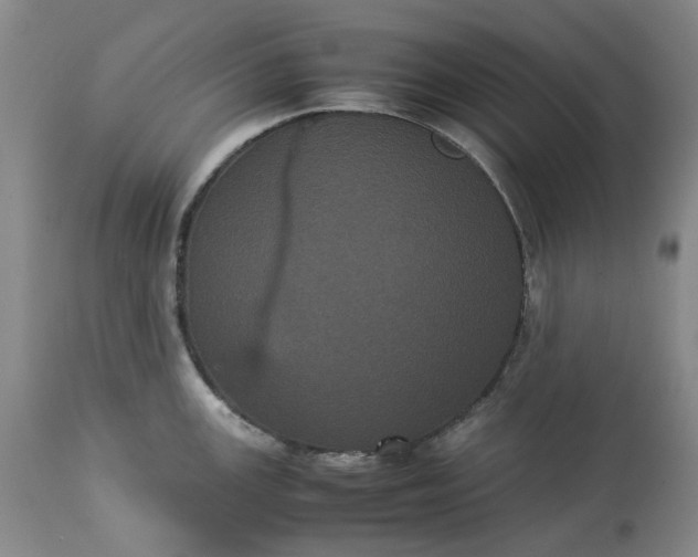 X0000113241147200909241540