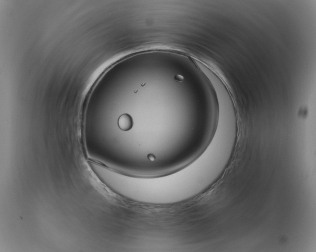 X0000113241148200909241540