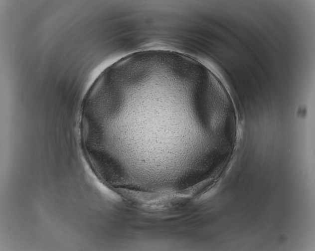 X0000113241149200909241540