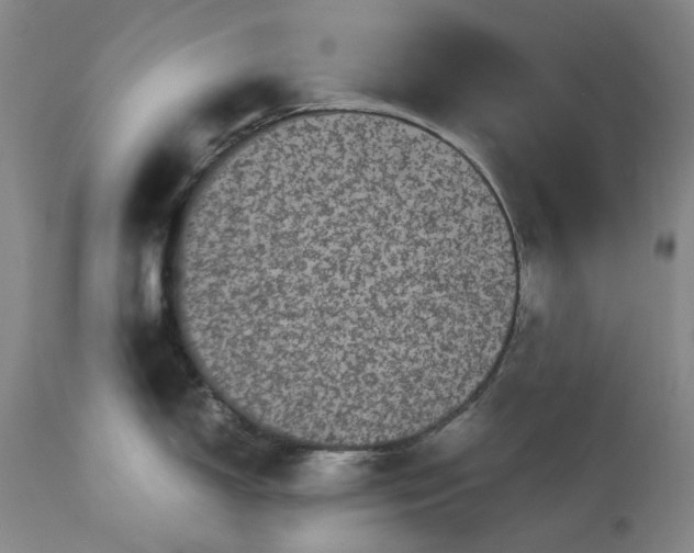 X0000113241150200909241540