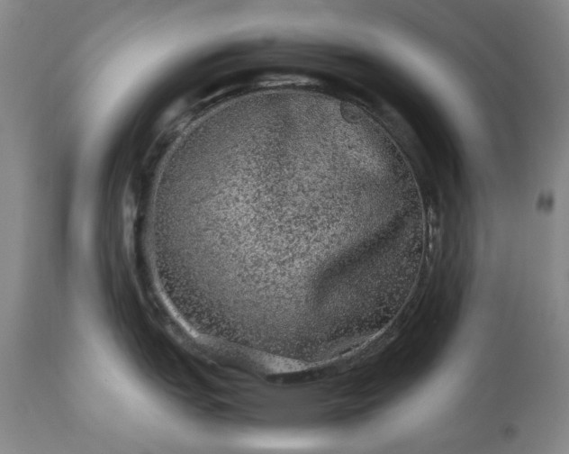 X0000113241151200909241540