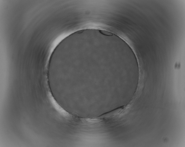 X0000113241152200909241540