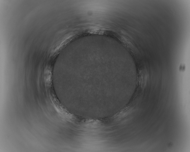 X0000113241154200909241540