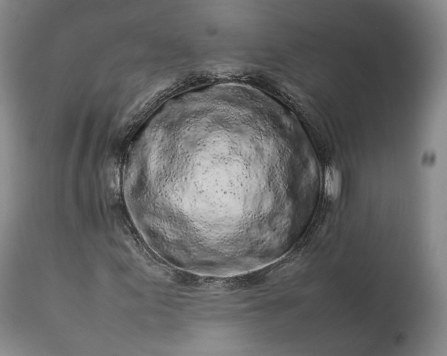 X0000113241155200909241540