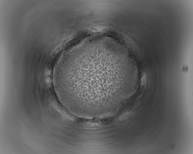 X0000113241156200909241540