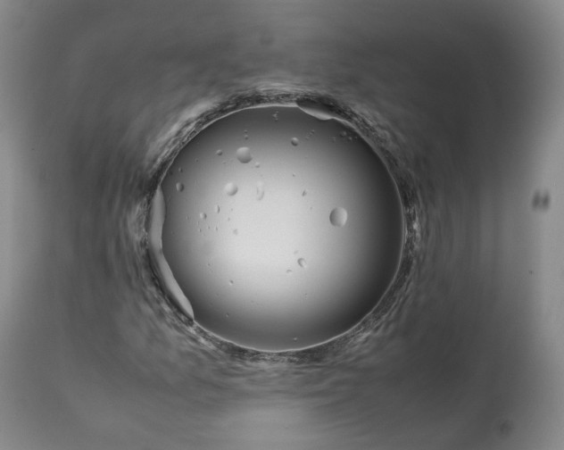 X0000113241157200909241540