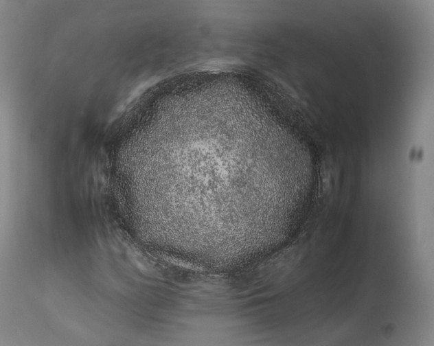 X0000113241158200909241540