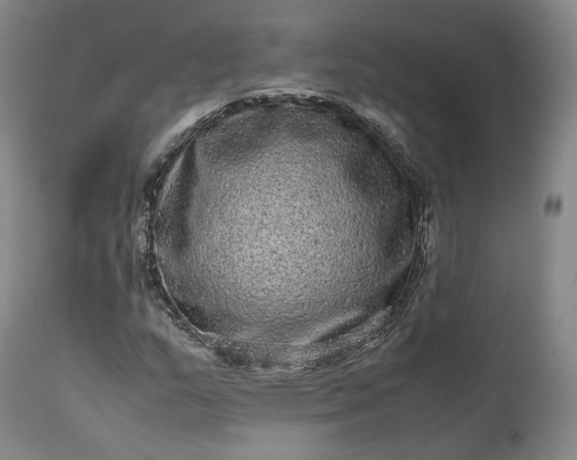 X0000113241159200909241539