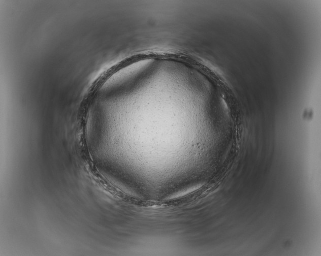 X0000113241160200909241539