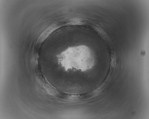 X0000113241161200909241539