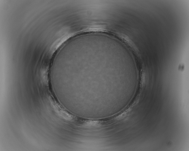 X0000113241162200909241539