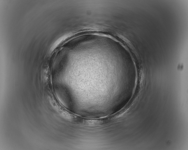 X0000113241163200909241539