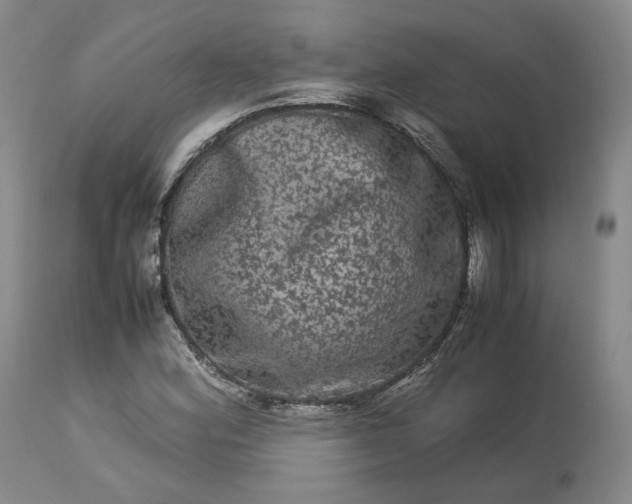 X0000113241164200909241539