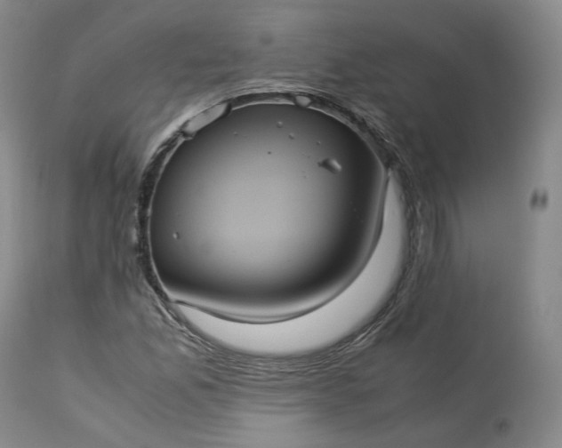 X0000113241165200909241539