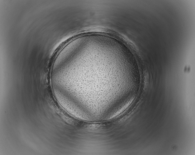 X0000113241166200909241539