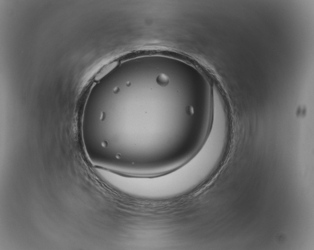 X0000113241167200909241539