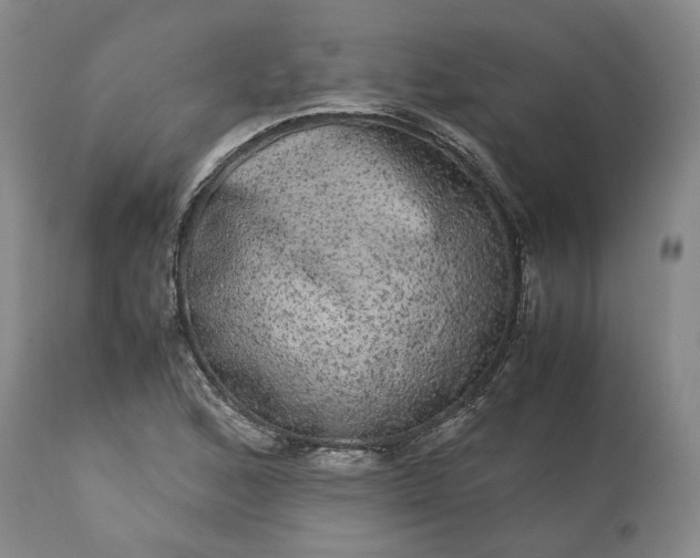 X0000113241168200909241539