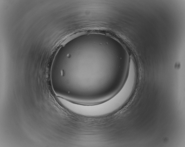 X0000113241169200909241539