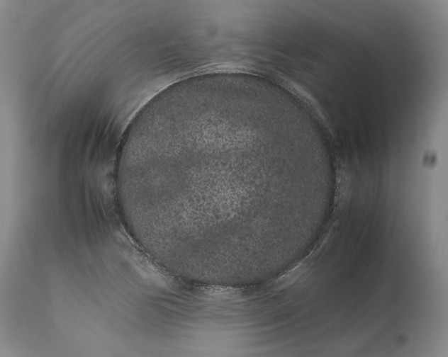 X0000113241170200909241539