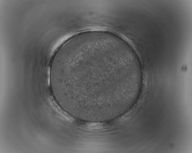 X0000113241171200909241539