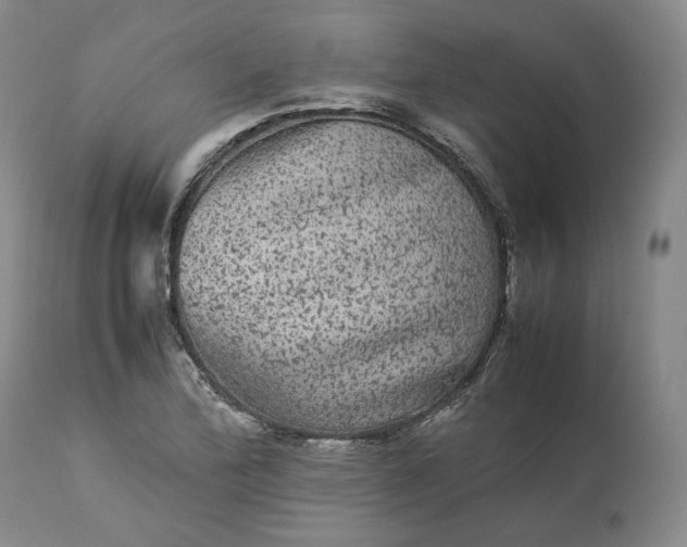 X0000113241172200909241539