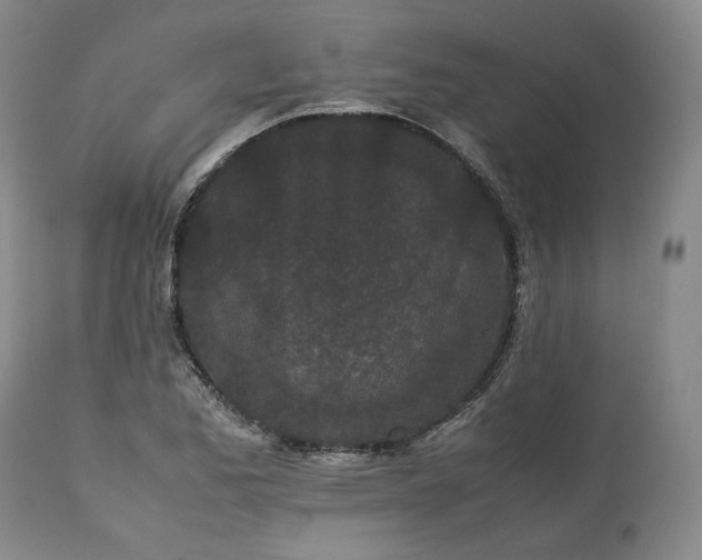 X0000113241173200909241539