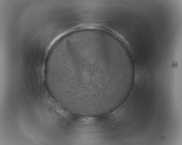 X0000113241174200909241539