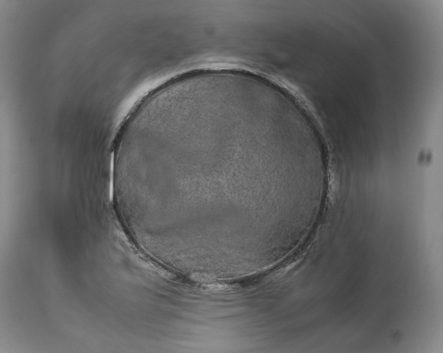 X0000113241175200909241539