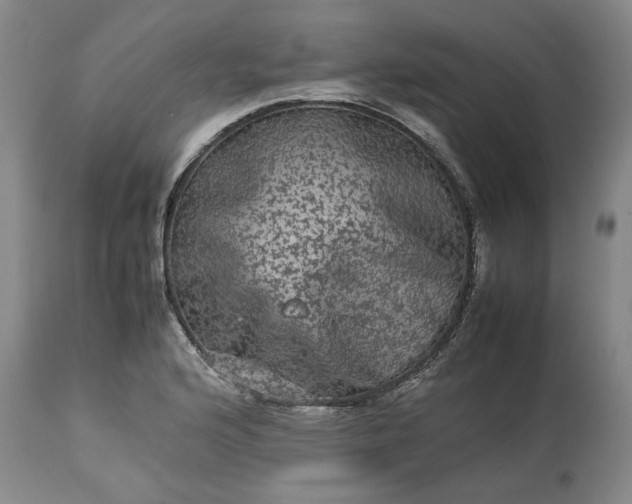 X0000113241176200909241539