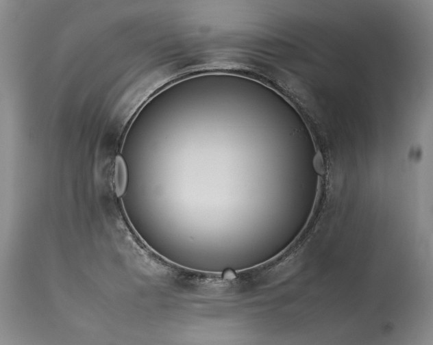 X0000113241177200909241539