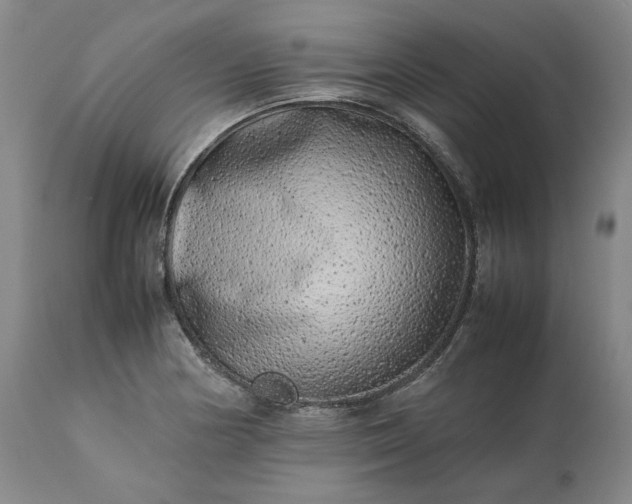 X0000113241178200909241539