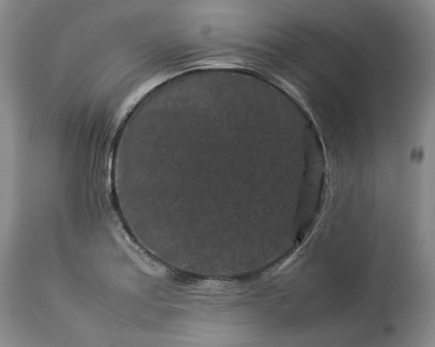 X0000113241179200909241539