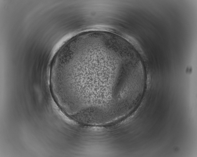 X0000113241180200909241539