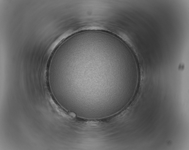 X0000113241181200909241539