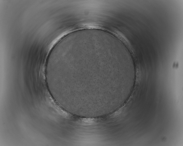 X0000113241182200909241539