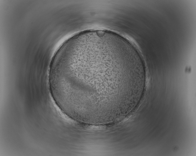 X0000113241183200909241539