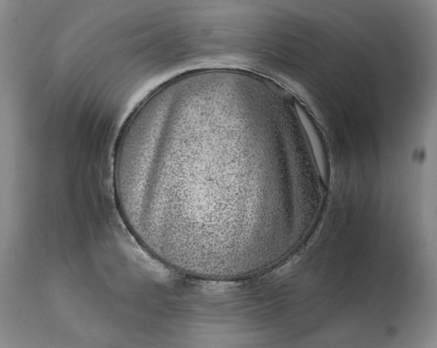 X0000113241184200909241539