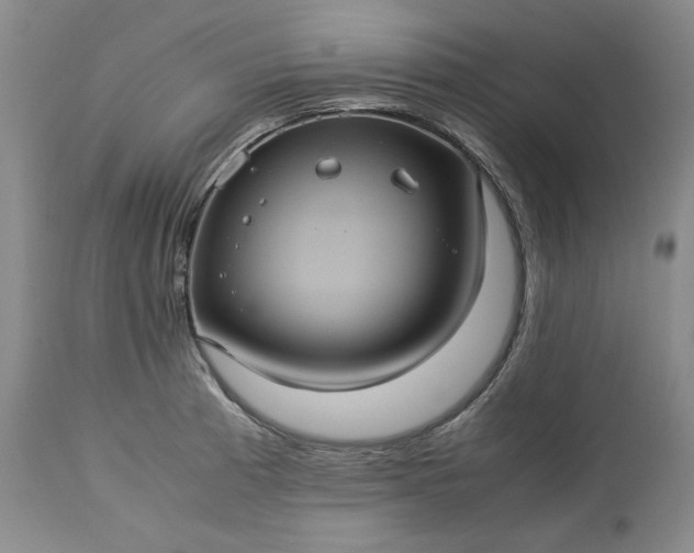 X0000113241185200909241539