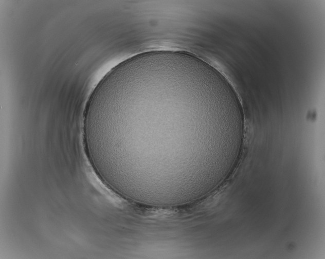 X0000113241187200909241539