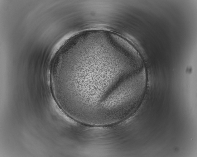 X0000113241188200909241539