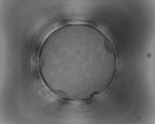 X0000113241189200909241539