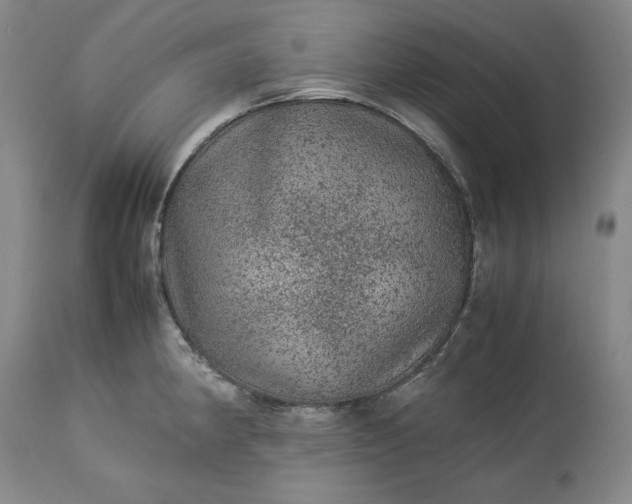 X0000113241190200909241539