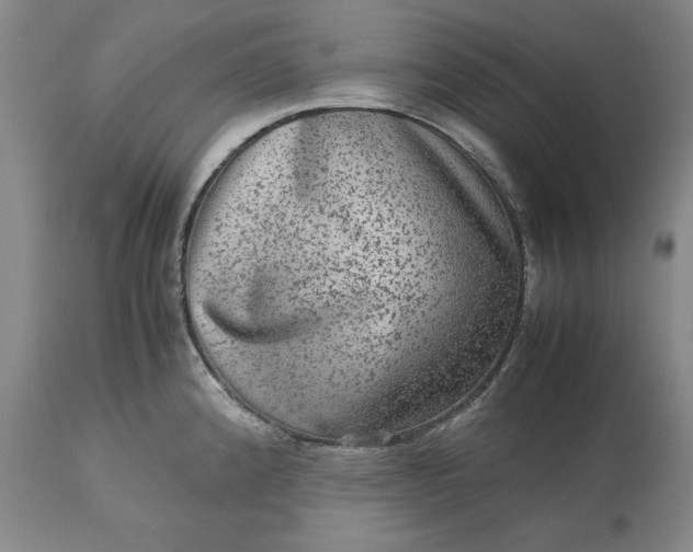 X0000113241192200909241539