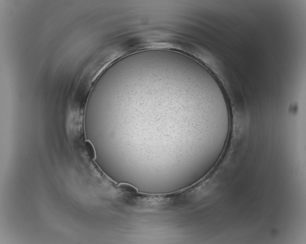 X0000113241193200909241539