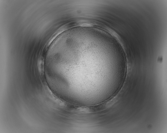 X0000113241194200909241539