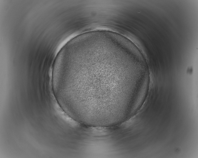 X0000113241198200909241539