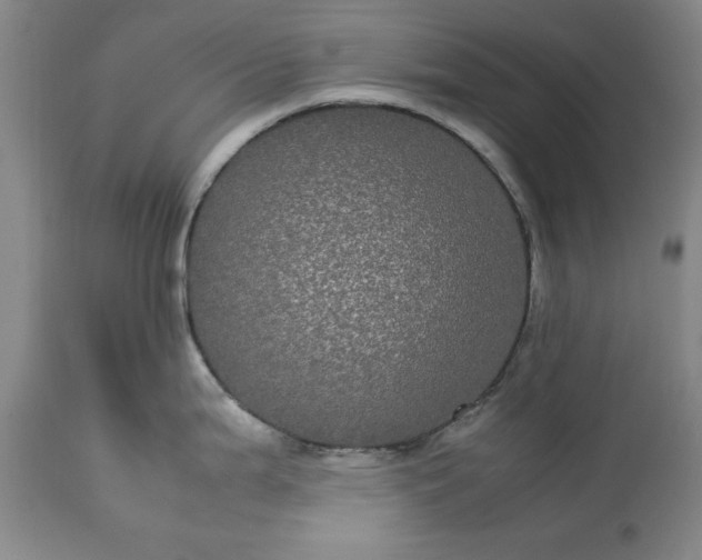 X0000113241199200909241539