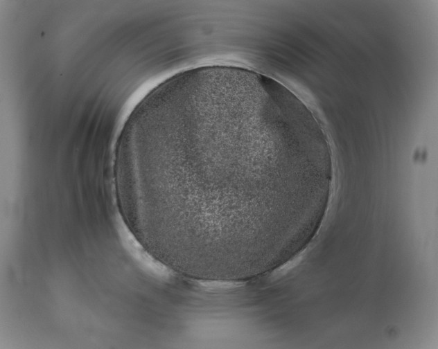 X0000113241200200909241539